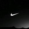 Arthur Van Looveren - @arthur.van.loover - TikTok