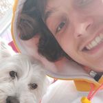 Arthur Vanneste - @arthur_vanneste - Instagram