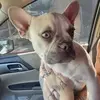 Arthur Villegas - @arthur.villegas2 - TikTok