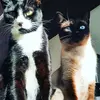 Arthur Villegas - @arthurvillegas.ly - TikTok