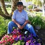 Arthur Watson - @arthurwatson9536 - Instagram