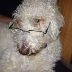 Arthur Watt - @wattarthur - Instagram