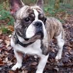 Arthur Watts - @arthurwatts799 - Instagram