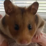 Arthur welch - @arthurwelch66 - Instagram
