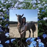Arthur Welch - @arthurwelch37 - Instagram