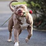 Arthur Willis - @why_aj_lol - Instagram