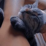 @arthur___wolf - Instagram