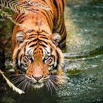 Arthur Zhao - @_arthur.zhao - Instagram