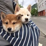 ArthurZhou - @arthur.z_tnt - Instagram