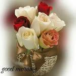 Arti Dave - @arti.dave.1232 - Instagram