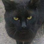 Artur Witkowski - Facebook