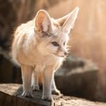 Artur Witkowski - @maslo_kremowe - Instagram