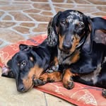 Artur Witkowski - @artur.witkowski.37625 - Instagram
