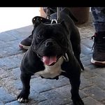 Arturo Baca - @arturo.baca.16121 - Instagram