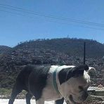 Arturo Baca - Facebook
