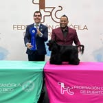 Arturo Guzman - @arturoguzman400 - Instagram