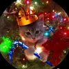 ARTURO GUZMAN - @arturo.guzman713 - TikTok