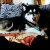 arturo lechuga - @arturo.lechuga0 - TikTok