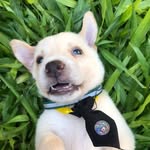 Arturo Lechuga Méndez Martínez - @arturolechugamym - Instagram