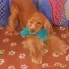 Jaime Arturo Paris - @jaime.arturo.pari - TikTok