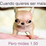 Arturo Renderos - Facebook