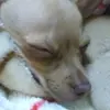 Arturo Zamarron - @arturozamarron - TikTok