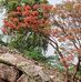 Arun Aravind - Facebook