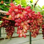 Arun Baheti - @arun.baheti - Instagram