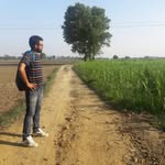 Árùñ Bhàsíñ - @arunbhasin - Instagram
