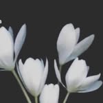 Arun Isaac - @arunisaac29 - Instagram