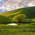 Arun mathur  - Facebook