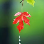 Arun Moorthy - @arun.moorthy.18 - Instagram