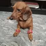 Arun moorthy - @arunmoorthy1594 - Instagram