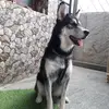 Aruna Chandar - @aruna_chandar - TikTok
