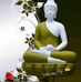 Aruna Chenu - Facebook