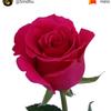 Aruna Priya - @arunapriya25 - TikTok