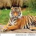 Arunava Roy - Facebook