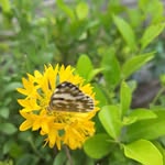 M Arunjit Singh - @marunjitsingh - Instagram
