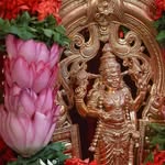 arun - @arunkumargopalakrishnan - Instagram