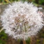 Arunkumarmuthusamy - @arunkumarmuthusamya - Instagram