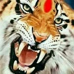 Arunkumar patil Abhimani Balag - @arunkumarpatilabhimani - Instagram