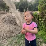 Arupa Sharma - @arupasharma56 - Instagram