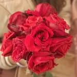 Arup Sharma - @arupsharma60 - Instagram