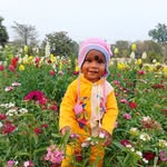 Arup Singh - @arup.singh.94009 - Instagram
