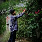 Arush Jain - @arush_jain._ - Instagram