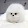 Arush Jain - @arushjain16 - TikTok