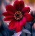 Arush Patel - Facebook