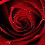 Arushi Dhingra - Facebook