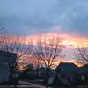 Arvella Birdine - @arvella.birdine - TikTok
