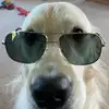 Marvelbirdog - @marvelbirddawg - TikTok
